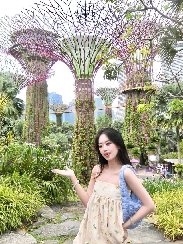 Cloud Forest Garden, and Starry Sky Garden in Singapore🥰❤️