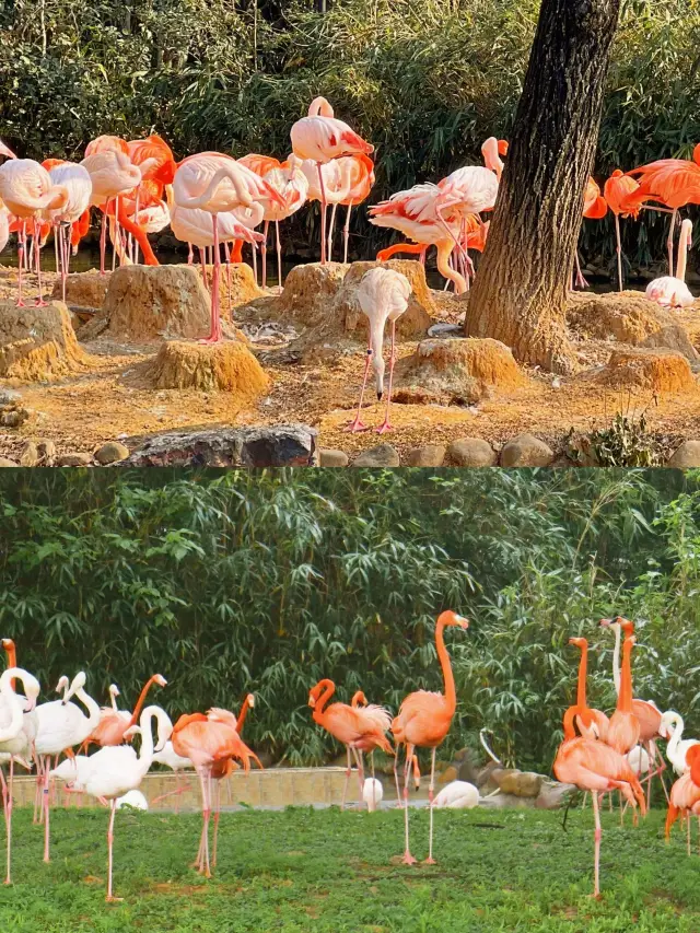 โอ้โห นี่มันต้องเป็นสวรรค์ของโลกสัตว์แน่ๆ เลย