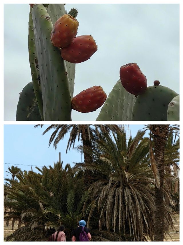 吉爾巴島：遺世獨立嘅夢幻天堂