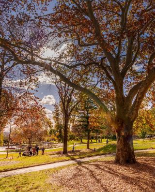 **[Discover Wagga Wagga, a Hidden Gem in Australia!]**