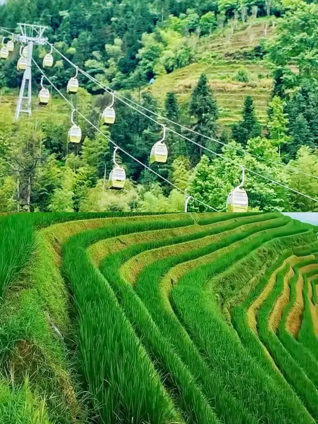 龍脊梯田遊玩攻略,看這一篇就夠啦