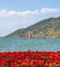 韓國賞鬱金香地圖，4月的浪漫非你莫屬