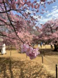 代々木公園での楽しいひととき