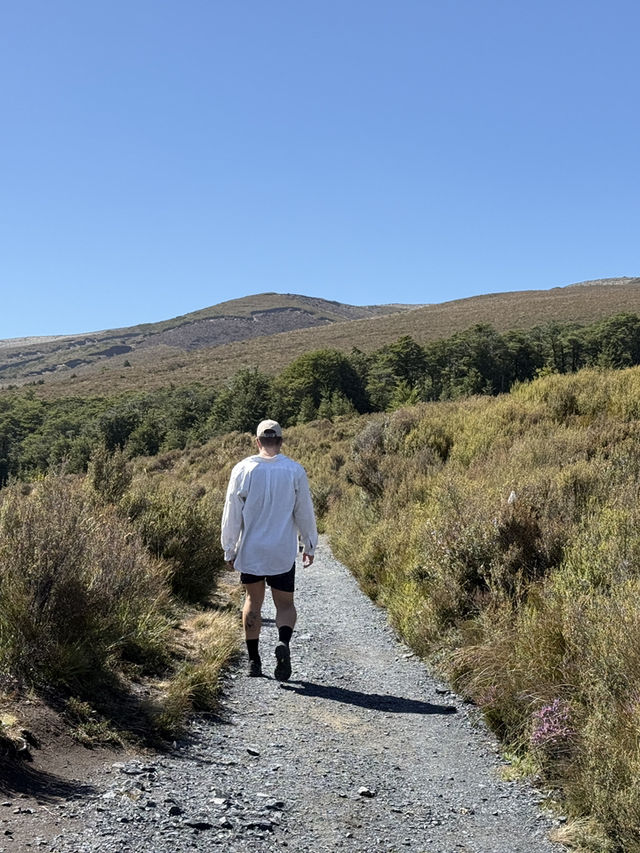 The Infamous Set Of Lord Of The Rings, Mount Tongariro Pass