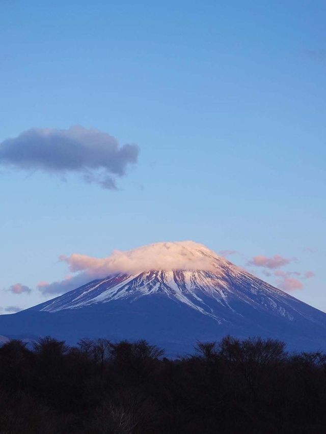 6日玩遍日本 超詳細攻略來啦