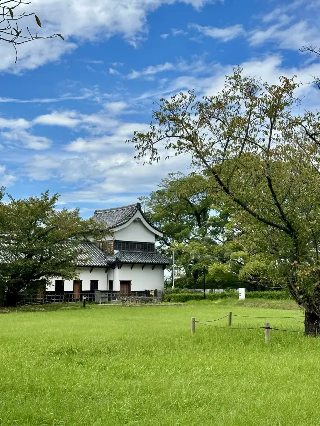 ยามเช้าตรู่ที่แสงอ่อนๆ ส่องลงมา ฉันเดินเล่นในสวนมาอิซุรุของฟุกุโอกะ