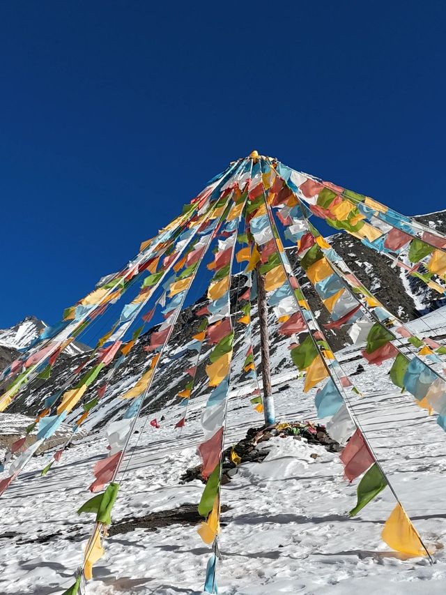 3天暢遊西寧等地 美景熱門一網打盡