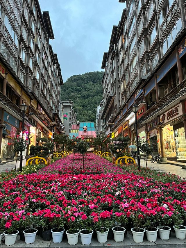 樂山3日暢遊 玩轉全景不踩坑