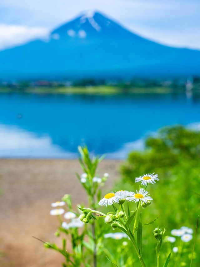 日本3日遊｜小長假超全攻略 快收藏