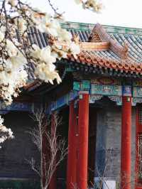 美而不妖 素而不寡｜中式古建築標配 - 白玉蘭