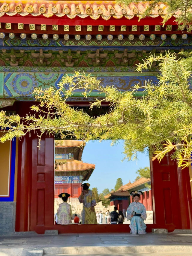 北京玉蘭天花板還是得看太廟
