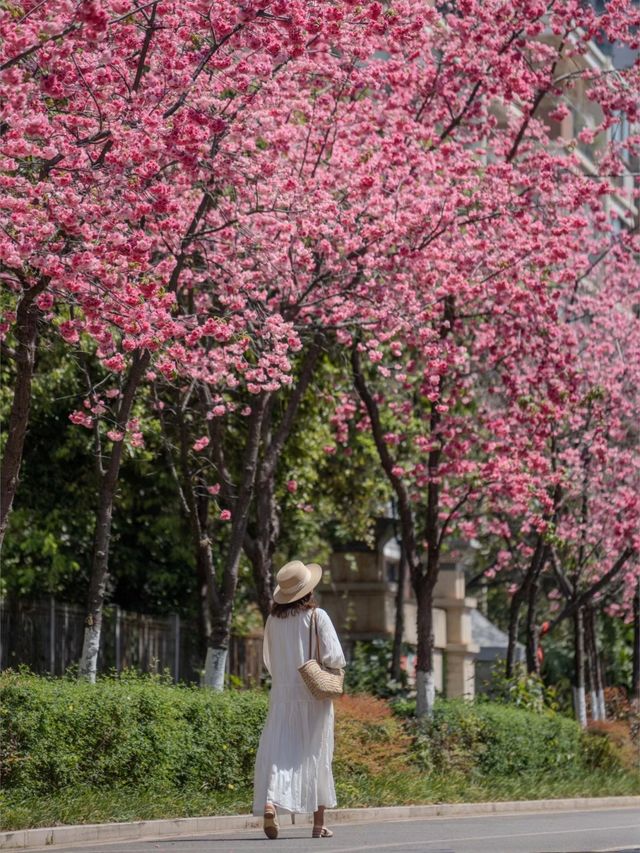 沒去東南亞，住進滇池畔，同樣在春城解鎖度假體驗
