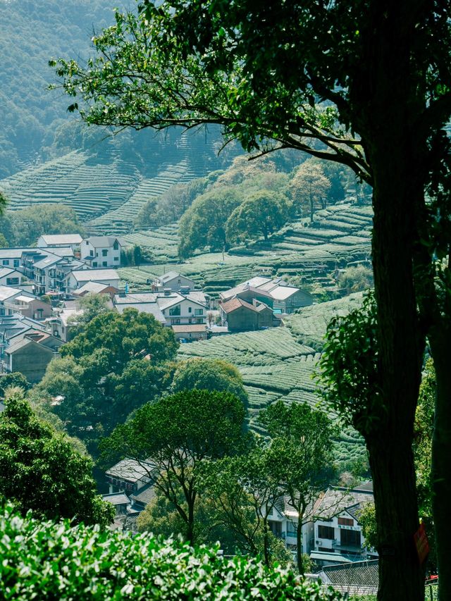 清明喺杭州行山嘅新發現！邂逅隱藏喺城市入面嘅綠野仙蹤