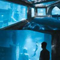 廣州拍照｜藏在廣州正佳極地海洋公園的夢幻海洋世界🐋