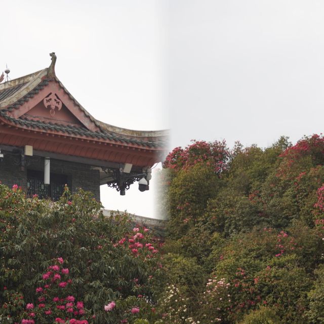 貴州畢節深度旅遊攻略