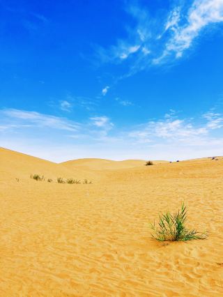 Wuhai, Inner Mongolia: A Hidden Gem
