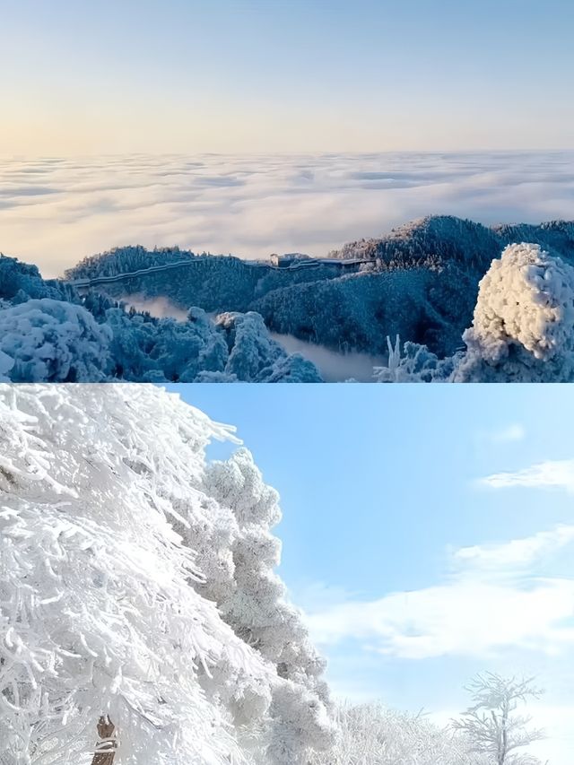 逃離喧囂！入住夢幻~愜意的住宿體驗之旅