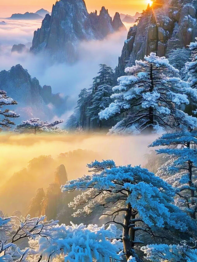 來了確實值黃山真的值得哦