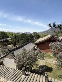 五一走跳｜探訪佛門清淨地·佛光寺