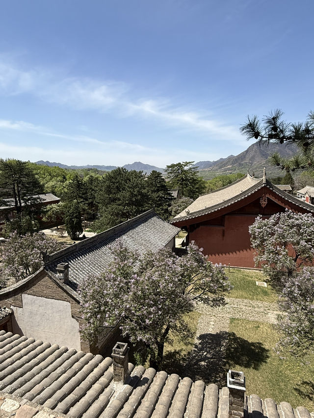 五一走跳｜探訪佛門清淨地·佛光寺