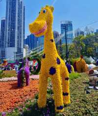 周末打卡香港維多利亞公園花卉展🌺