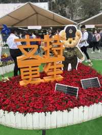 香港維多利亞公園花卉展的魅力！