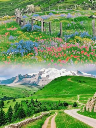 When is the best time to visit Ganye Flower Sea in Western Sichuan?
