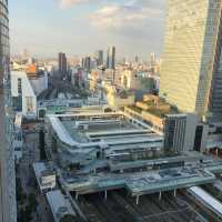 東京世紀南悅酒店，位置優越，愜意享受 酒店：世紀南悅酒店 地址：151-8583 東京都