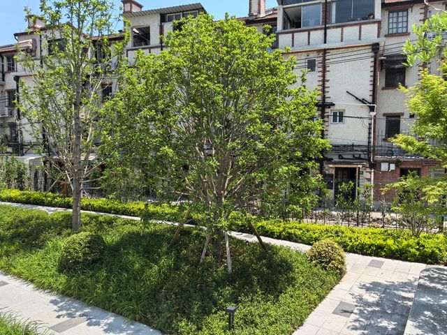 延華園——靜安區嘅隱世寶藏口袋公園
