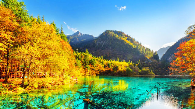 春日浪漫成都等地不可錯過的美景