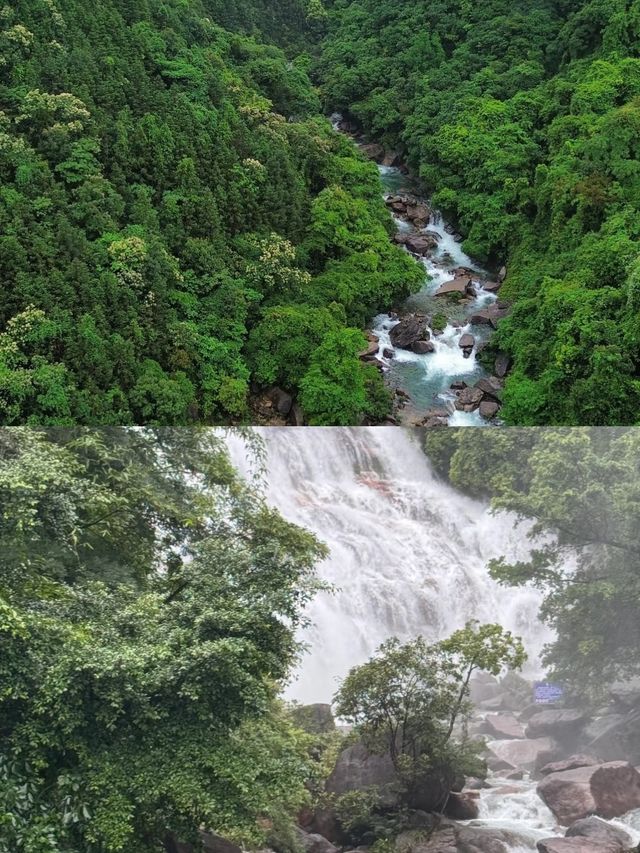 佛岡受罪已回，實話拒噴