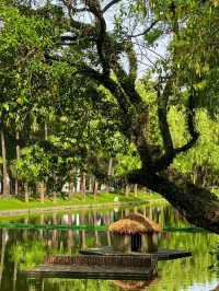 Yuexiu Park Guangzhou is soo Amazing Experience😍🥰