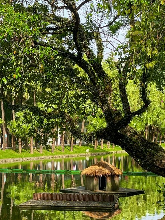 Yuexiu Park Guangzhou is soo Amazing Experience😍🥰