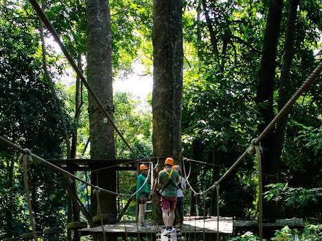 *🌿🦚 Green Jungle Park - สวนสวรรค์ธรรมชาติ🌠