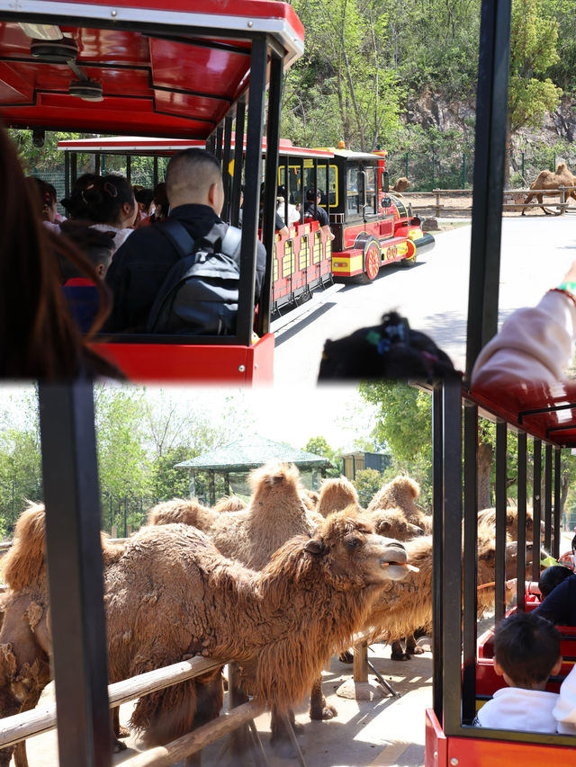 懶人式湊仔好去處——紫清湖旅遊區 懶人式湊仔好去處——紫清湖旅遊區