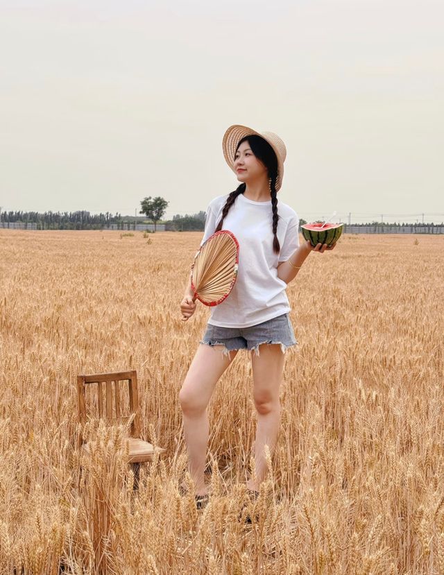 麥田係夏天嘅寶藏劇場 我當主角