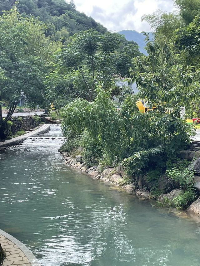 遛娃聖地爽到爆，可摘楊梅可玩水
