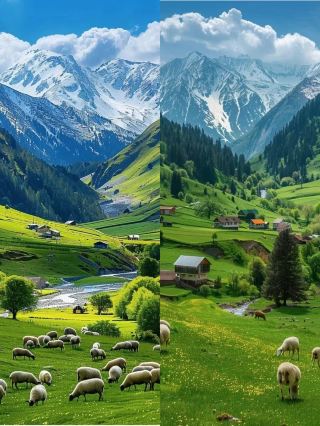 Xinjiang Yili | Where Summer Looks Like a Windows Desktop