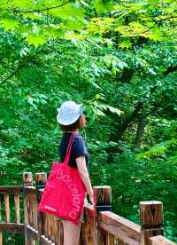【瀋陽大石湖避坑攻略｜本地人私藏嘅影相秘笈，真實踩雷經驗