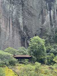 Wuyi Mountain: A Rain-Soaked Journey Full of Quiet Beauty