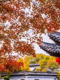 逃離人潮！常熟秋日私藏之旅