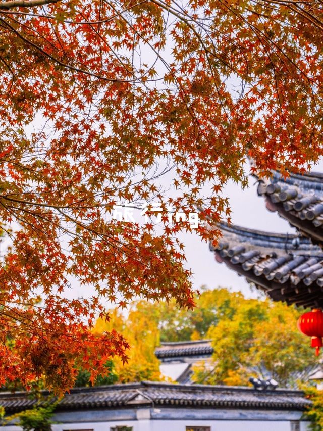 逃離人潮！常熟秋日私藏之旅