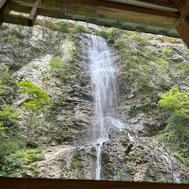 Detailed 1 Day (of 4) Itinerary for Zhangjiajie - Grand Canyon and Yellow Dragon Cave