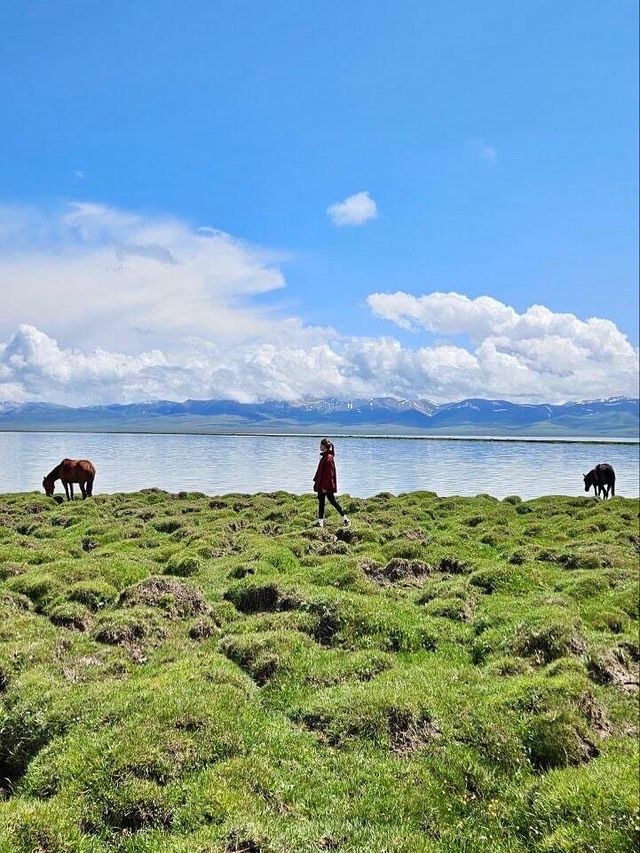 吉爾吉斯斯坦旅遊攻略