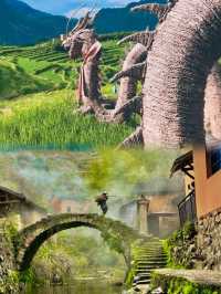 麗水放棄咗麗水，呢度太正啦空氣又靚又新鮮又好玩