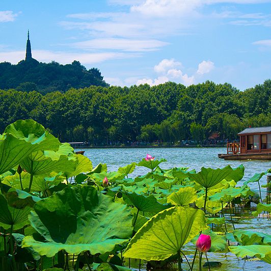9 Kid-Friendly Day Trips from Shanghai for Family Fun ❤️