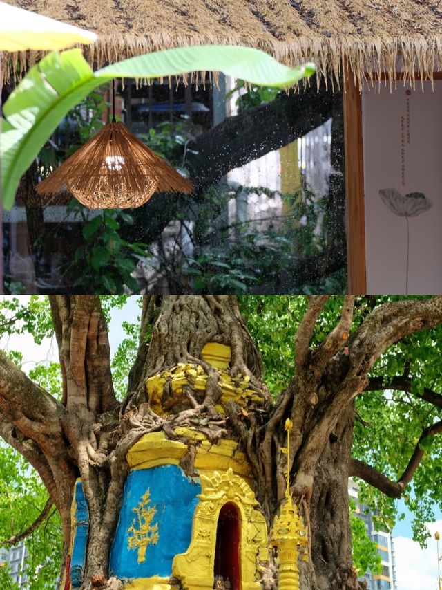 啱啱從芒市返嚟，真係唔建議7月去！