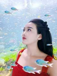 闖入童話海洋館