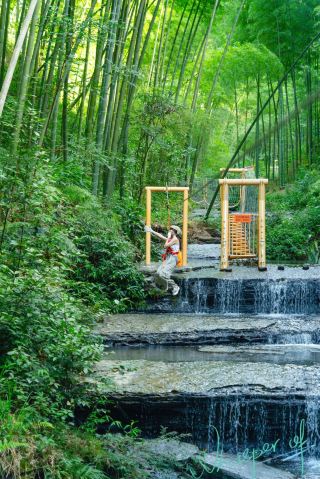 Yibin Day Trip | Step into a Real-Life Fairy Tale Forest