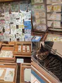 7.9上海玩樂快訊【免費展覽，快閃】